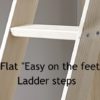 ladder steps 2