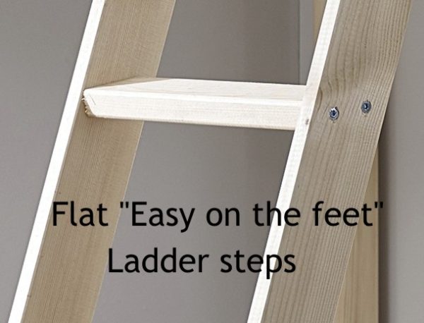 ladder steps